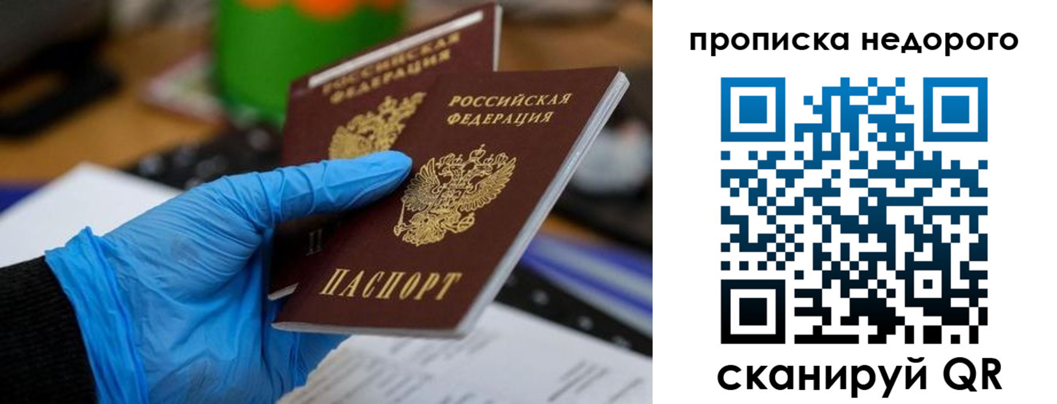 прописка поиск в Боготоле